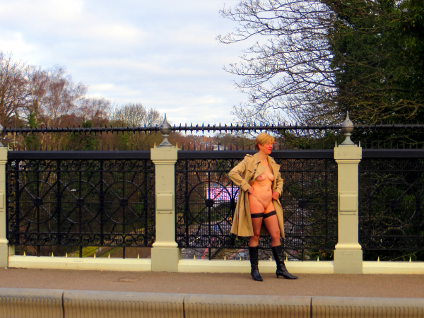 ModestyBridge2