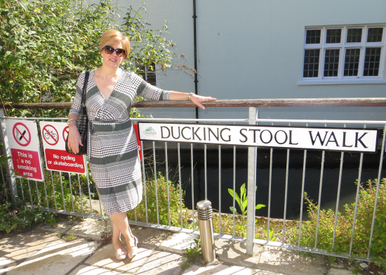 ModestyDuckingStool2