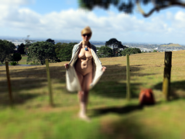 ModestyShallowDepthField
