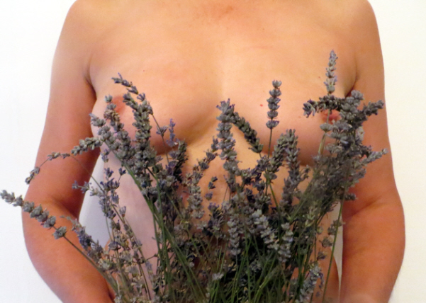 Modesty Ablaze Lavender Boobs