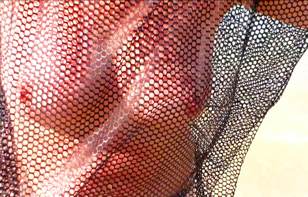 Modesty Ablaze Black Net